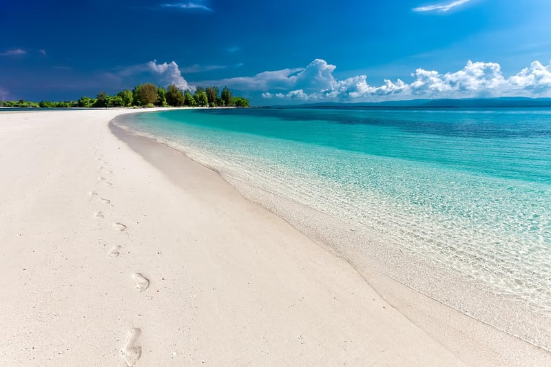 Tropical Beach Party